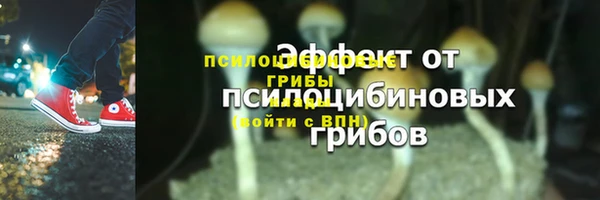 гидра Дмитровск