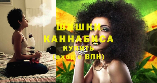 дмт Дмитров