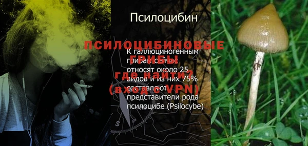 дмт Дмитров