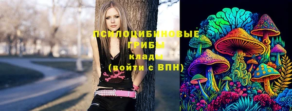 гидра Дмитровск