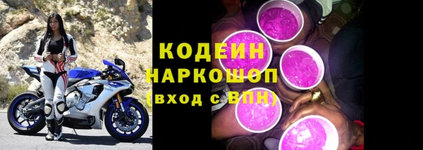 прущий лед Дмитриев