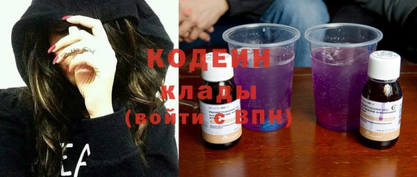 дмт Дмитров
