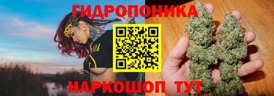 ПСИЛОЦИБИНОВЫЕ ГРИБЫ Краснокаменск