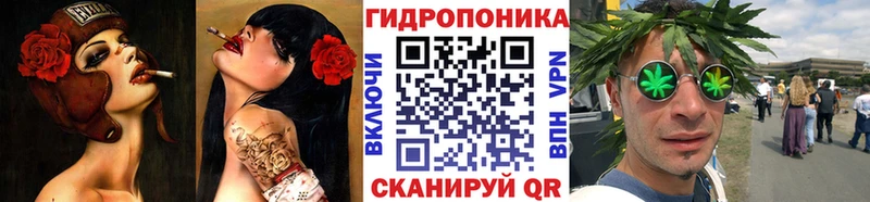 Бошки Шишки семена Ковров