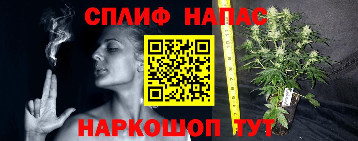 Бошки Шишки MAZAR Ковров